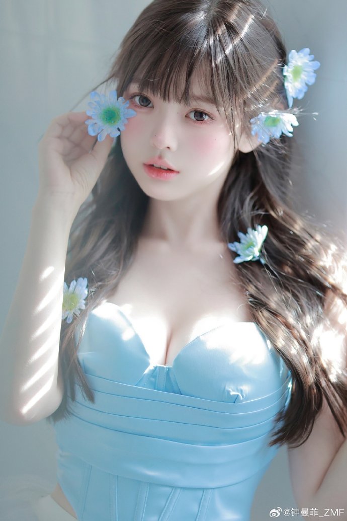 犬之岛