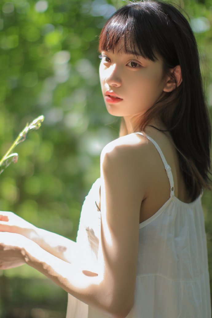 紫罗兰永恒花园